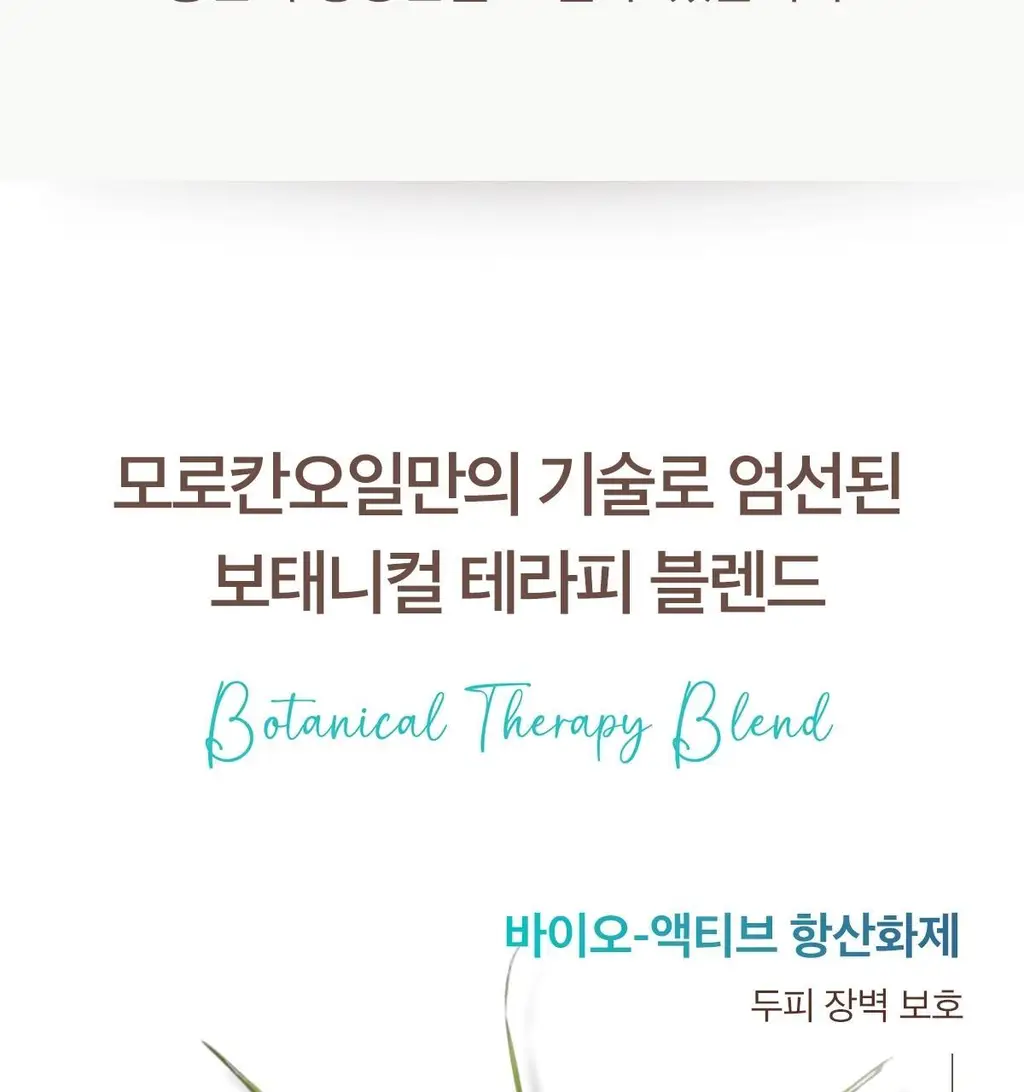 [두피 케어] 모로칸오일 스칼프 밸런싱 샴푸 250ml 상세페이지 15